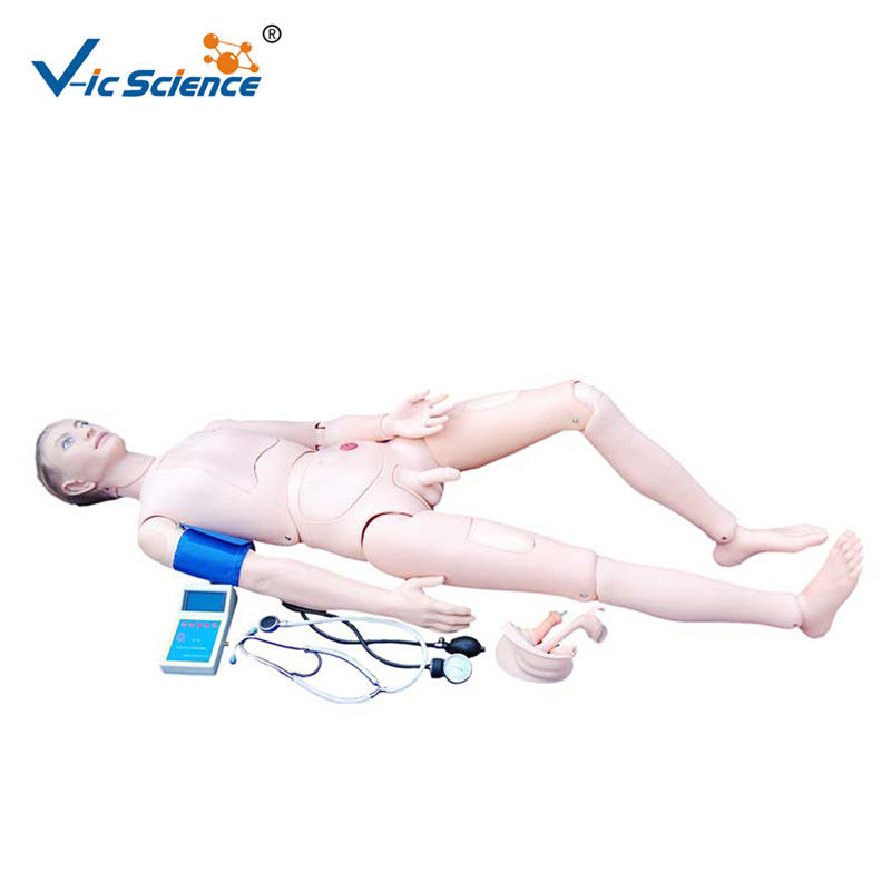 Advanced Nurse CPR Training Manikins / Adult Cpr Manikin With Blood Pressure